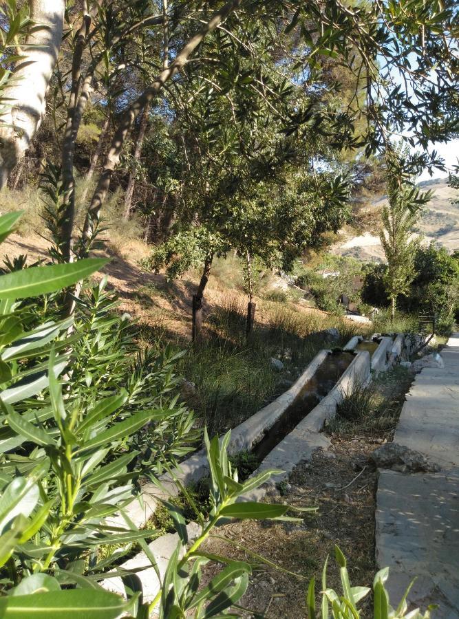 Casa Montelucia Montecorto Dış mekan fotoğraf